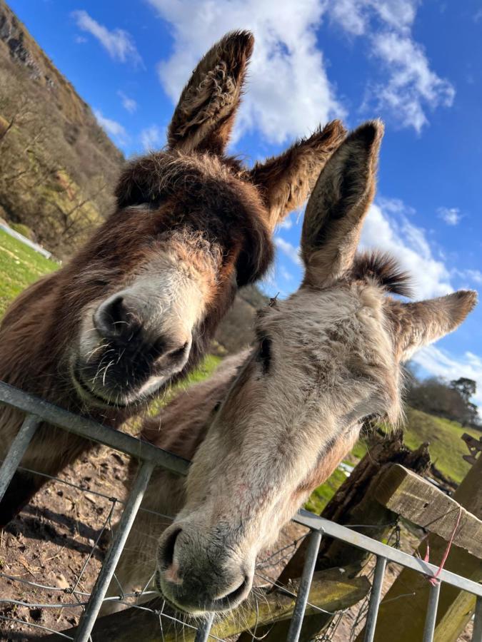 Cwm Farm Cwtch Villa Merthyr Tydfil Dış mekan fotoğraf